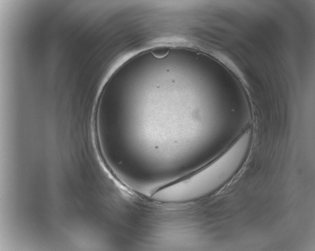 X0000066941440200603241131