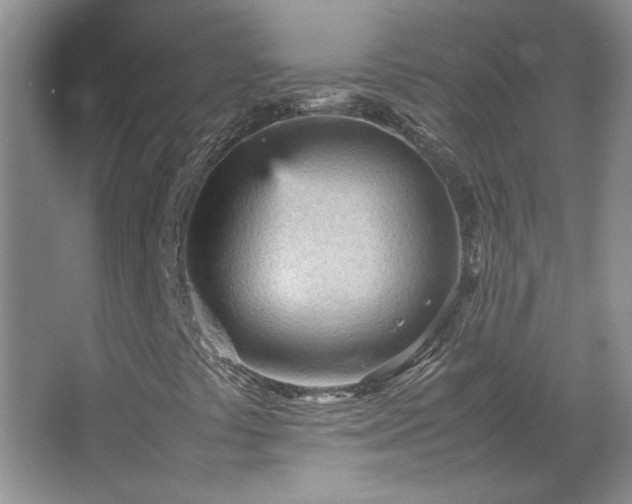 X0000066941441200603241130