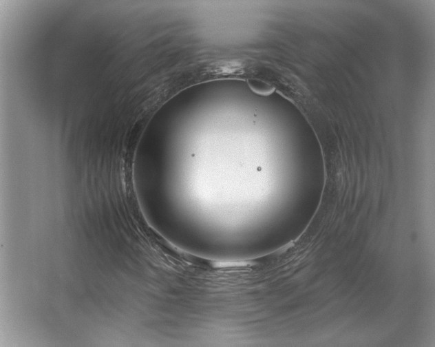 X0000066941442200603241130