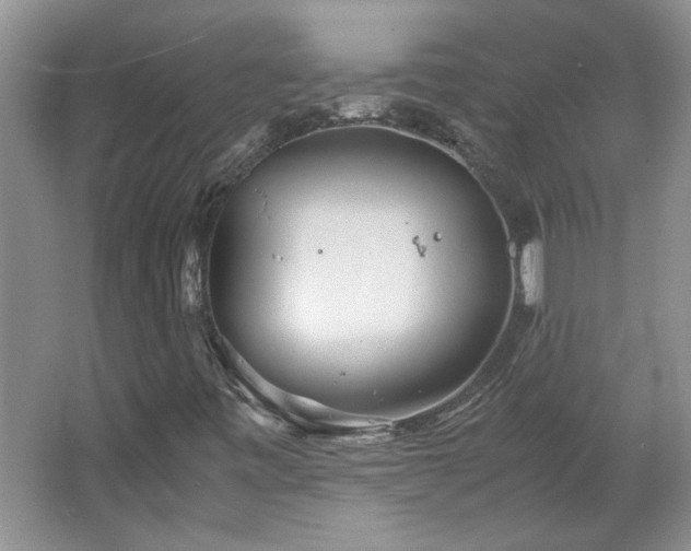 X0000066941443200603241130