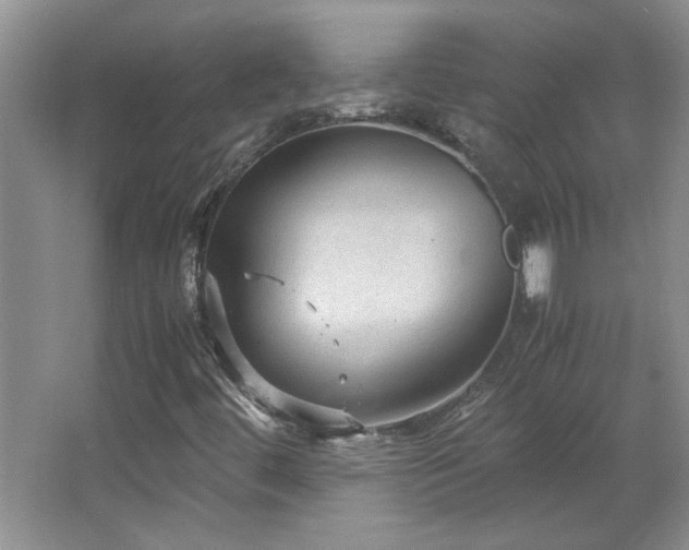 X0000066941444200603241130