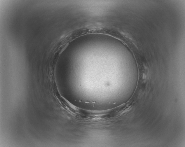 X0000066941445200603241130