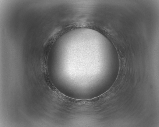 X0000066941446200603241130