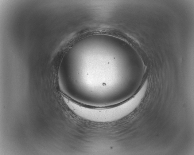 X0000066941447200603241130