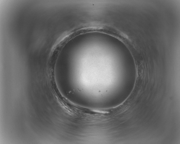 X0000066941448200603241130