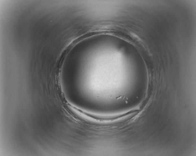 X0000066941449200603241130