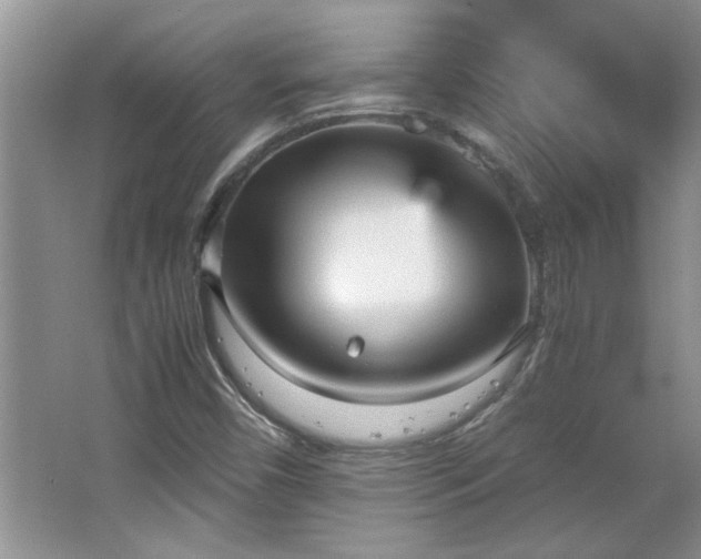 X0000066941450200603241130