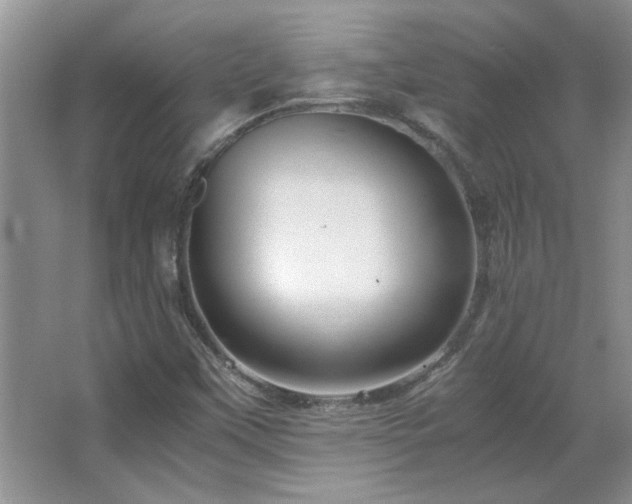 X0000066941451200603241130