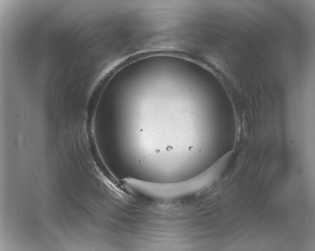 X0000066941452200603241130