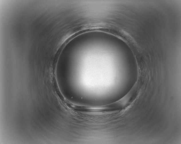 X0000066941457200603241129