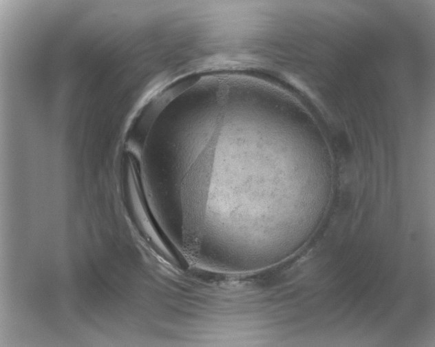 X0000066941459200603241129