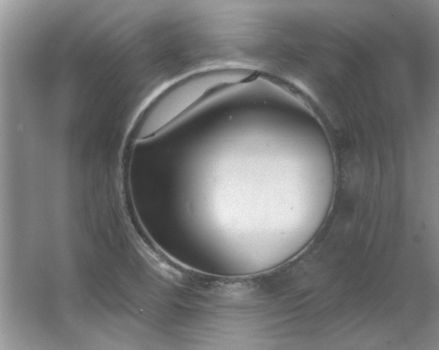 X0000066941460200603241129