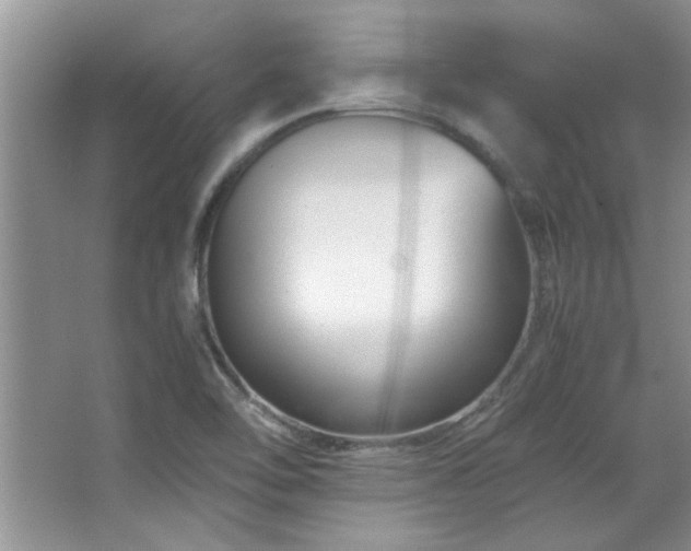 X0000066941462200603241129