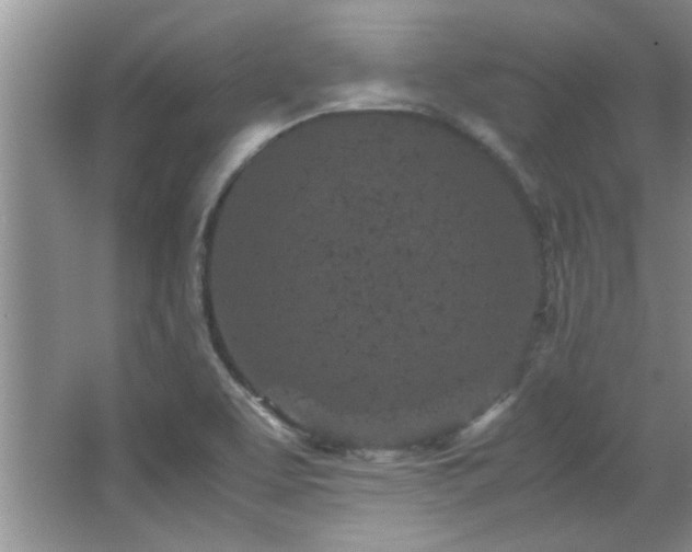 X0000066941463200603241129