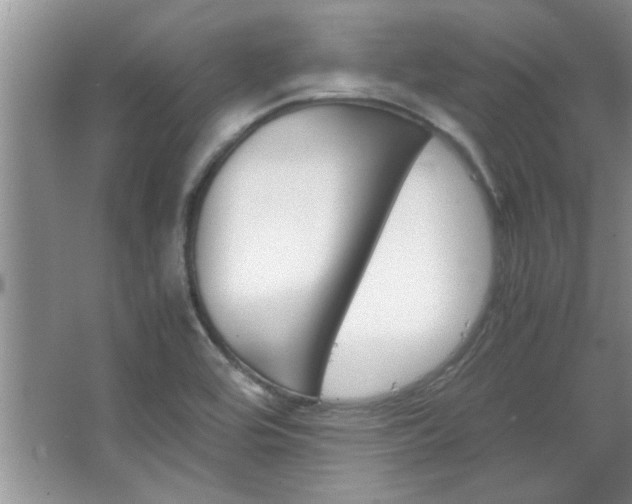 X0000066941464200603241129