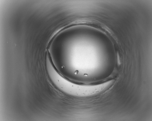 X0000066941465200603241129