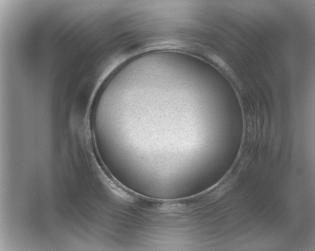 X0000066941466200603241129