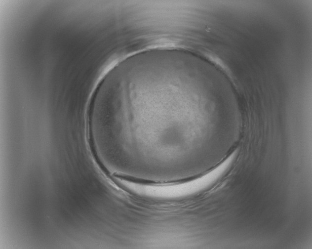 X0000066941467200603241129