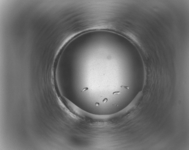 X0000066941468200603241129