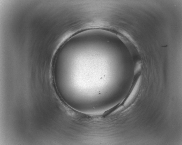 X0000066941469200603241129