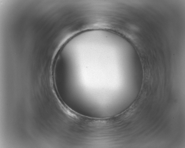 X0000066941470200603241129