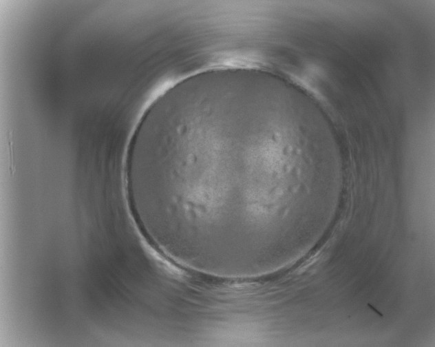 X0000066941471200603241129