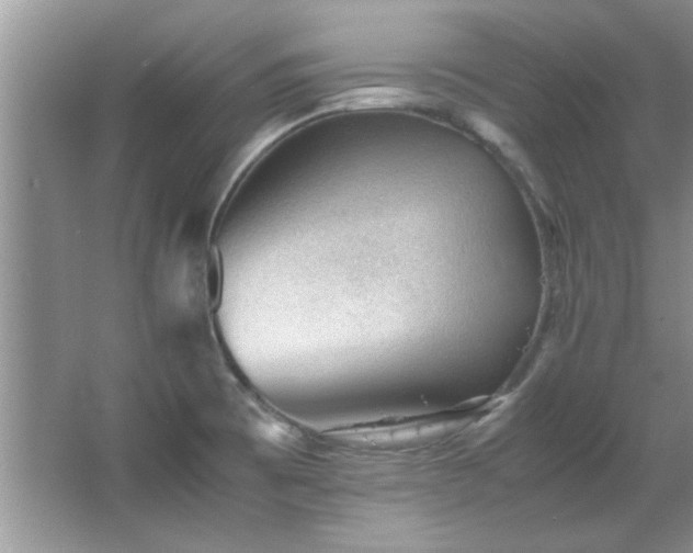 X0000066941473200603241129