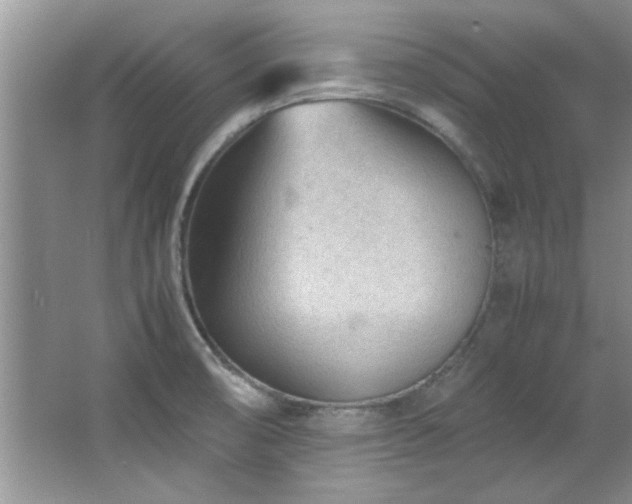 X0000066941474200603241129