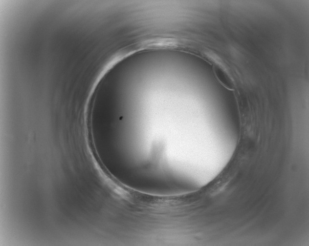 X0000066941475200603241129