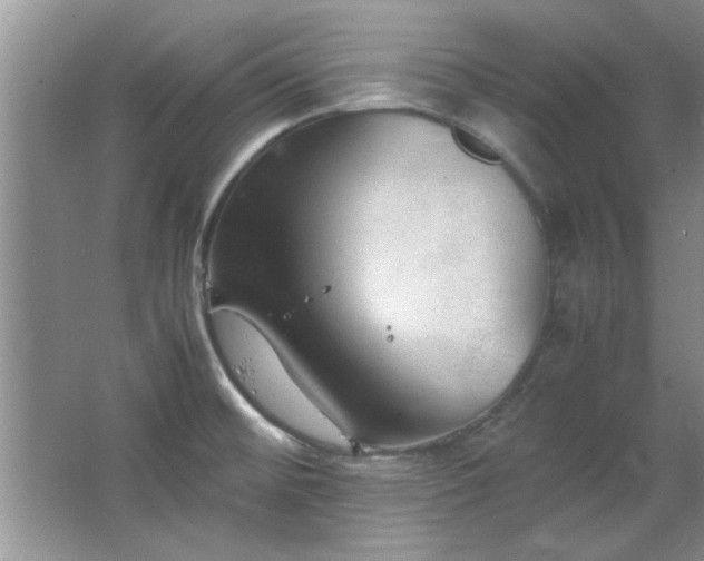 X0000066941476200603241129