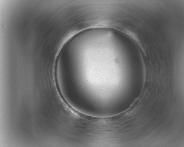 X0000066941480200603241129