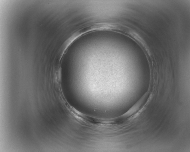 X0000066941481200603241129