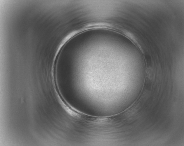 X0000066941482200603241129