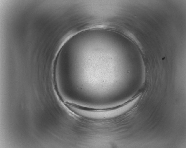 X0000066941483200603241129