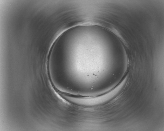 X0000066941484200603241129