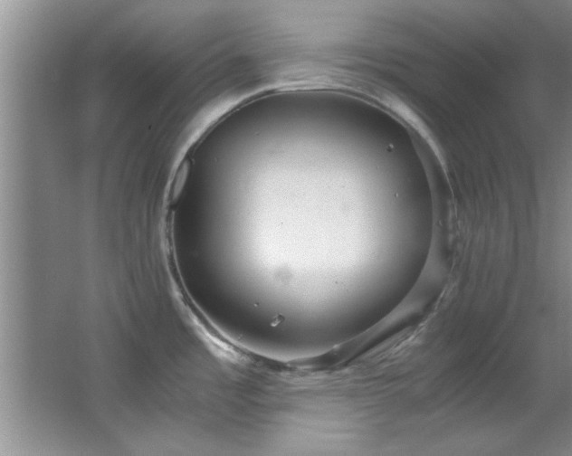 X0000066941485200603241129