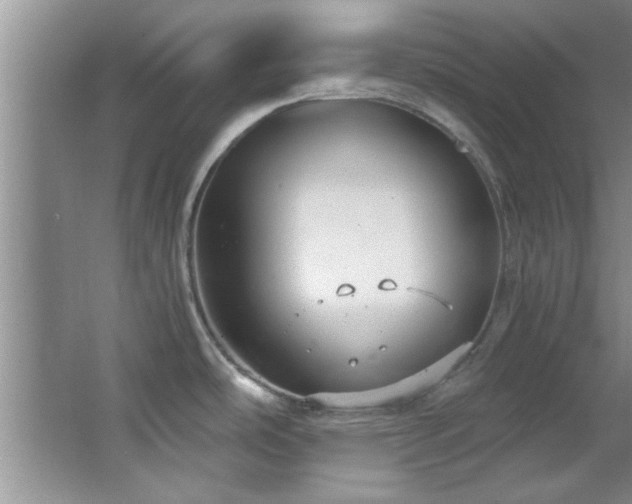 X0000066941486200603241129