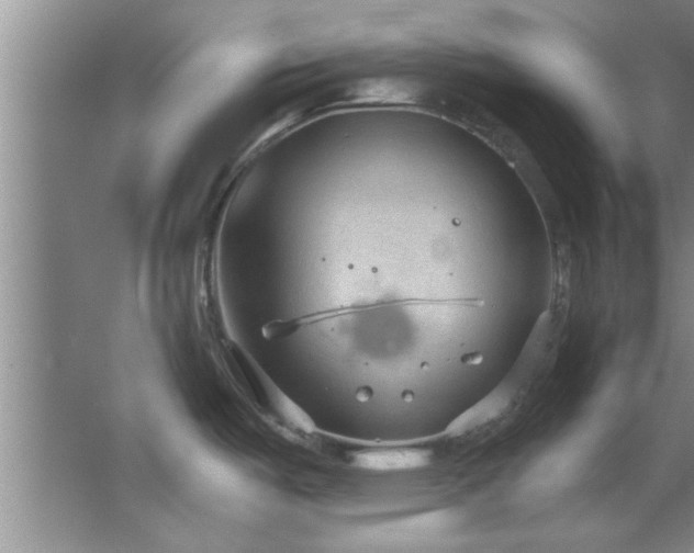 X0000066941487200603241129