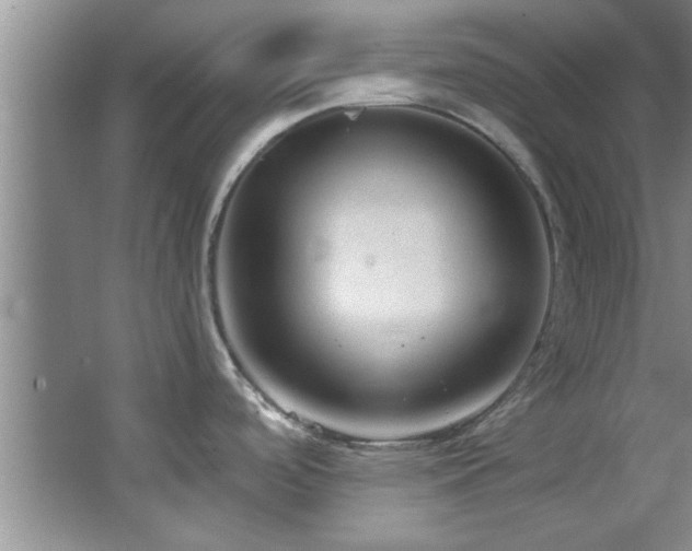 X0000066941488200603241129