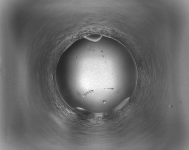 X0000066941489200603241128