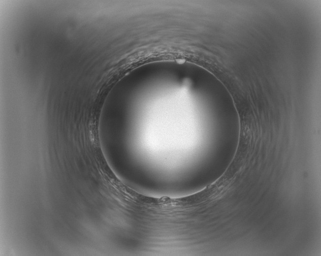 X0000066941490200603241128