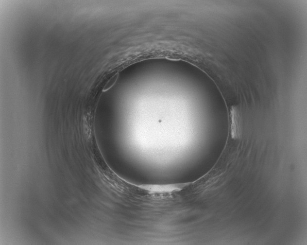 X0000066941491200603241128