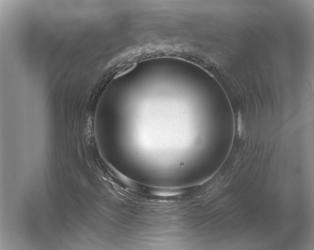 X0000066941492200603241128