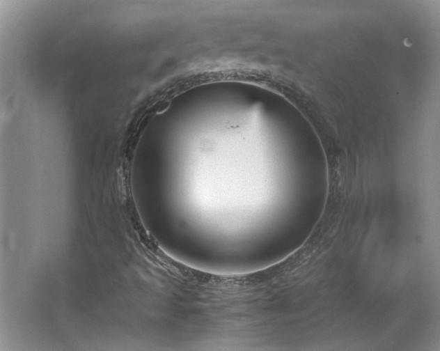 X0000066941493200603241128