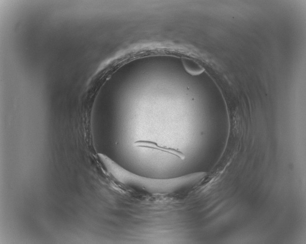 X0000066941494200603241128