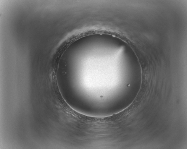 X0000066941495200603241128