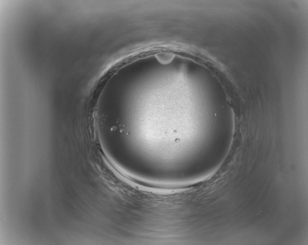 X0000066941496200603241128