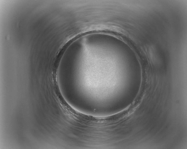 X0000066941497200603241128