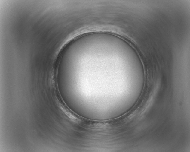 X0000066941498200603241128