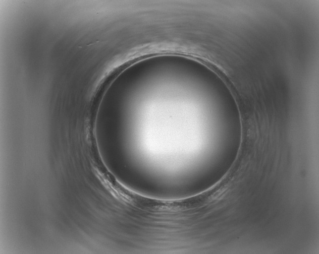 X0000066941499200603241128